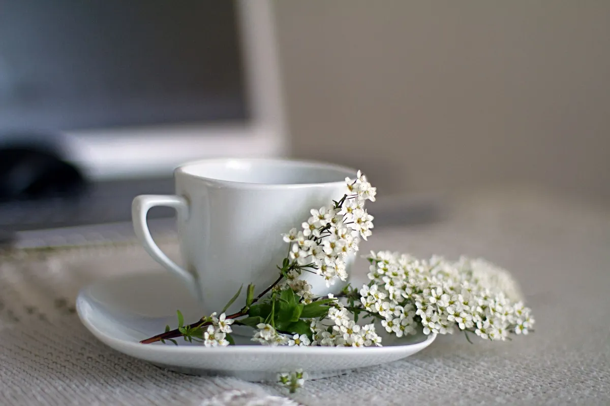 A Seasonal Guide to Spring Tea Blends: Floral, Grassy, and Fresh