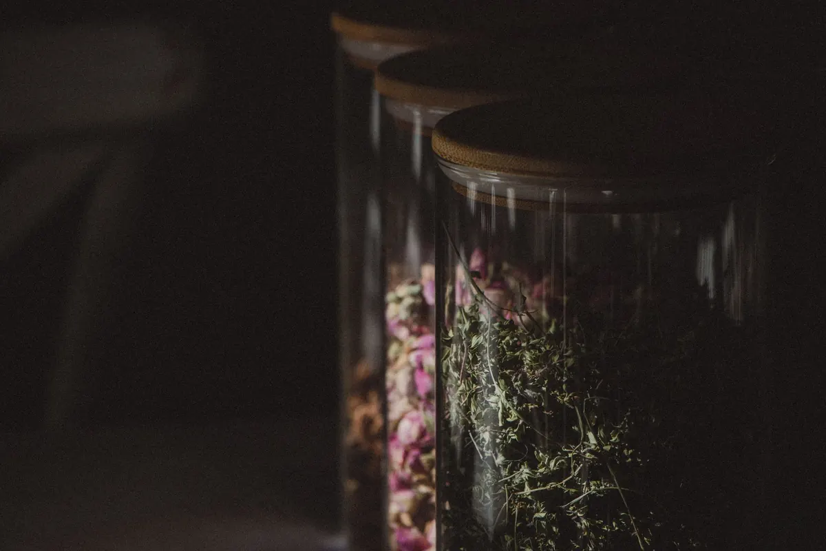 How to Store Tea So It Stays Fresh: 5 Containers and 3 Mistakes to Avoid
